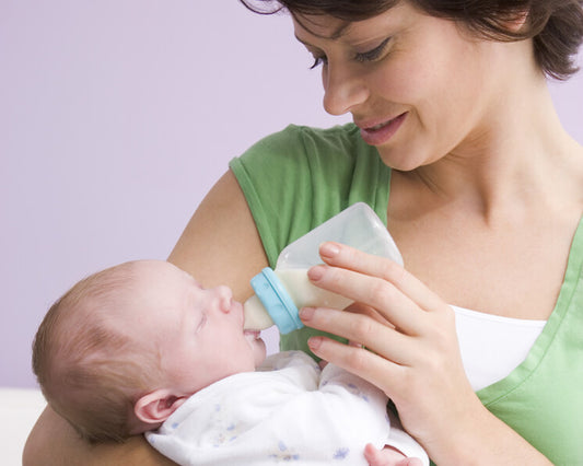 CALENTADOR PORTÁTIL DE MAMADERA