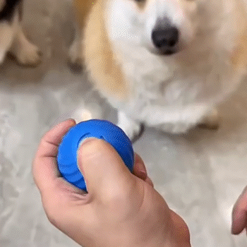 JUGUETE PARA MASCOTA SMART BALL